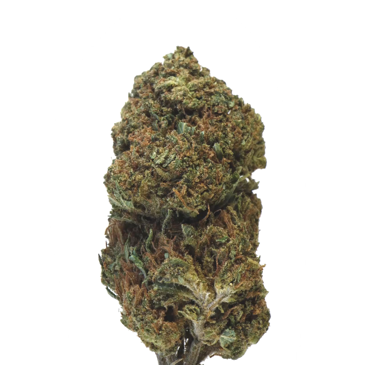 strawberry CBD tete CBD fleur CBD Indoor green house fournisseur vente en gros CBD qualité CBD quantité CBD grossiste CBD France B2B vente CBD culture suisse 